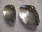 Lot Of 2 Vintage Wallace Pattern 393 Sterling Silver Clam Shell Bowl S