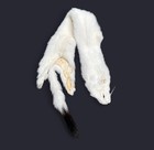 Nice White Jacquar Mink Fresh Tanned Hide Super Soft Leather Craft Pelt Fur