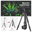 Neewer 66 In Camera Tripod Monopod Carbon Fiber With 360 Ball Head