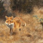 Antique Fox In Autumn Landscape Painting Giclee Print On Fine Art Paper