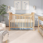 Dream On Me Violet 7-in-1 Convertible Full-size Baby Crib With Toddler  Day   Fu
