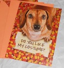  3 -  Dachshund      Halloween Greeting Cards -i m A Corn Dog- New Free Ship