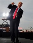 Rare Cheeto Shaped Trump Dancing Hot Cheeto