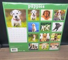 2018 16-month Wall Calender 12  X 11  Puppies Sealed