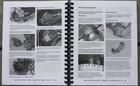 1987-2009 Kawasaki Ninja Ex500 Ex 500 Service   Repair Manual