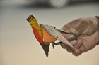 Vintage C k Trademark Colorful Litho Mechanical Bird Tin Toy  Japan