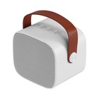 Mini Karaoke Machine Wireless Mic Bluetooth Speaker For Christmas Birthday Gifts