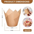 Tulip Cupcake Liners 120ct Parchment Baking Cups Greaseproof Muffin Wrappers
