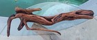 Large Driftwood Manzanita Aquascape Aquarium Terrarium  Bonsai 25   15   7  