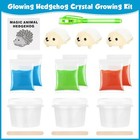 Glowing Crystal Growing Kit - Science Kits For Kids Age 8-12