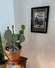 Clear Glass Crystal Prism Pendant Suncatcher 1 77 Inches 1 Pcs