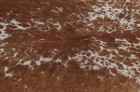 100  New Cowhide Rugs Area Cow Skin Leather  51  X 50   Cow Hide Sa-5364