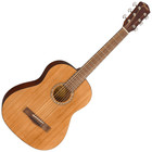 Fender Fa-15 3 4-scale Acoustic Guitar String W gig Bag     Walnut