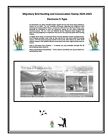 Mac s Rw91   E-stamp 2024-2025 U s  Federal Duck Stamp Album Supplement