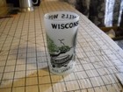 Vintage Frosted Glass Souvenir Drinking Glass   Wisconsin Dells Wis 