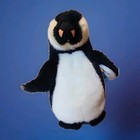 Rare Retired Ty Beanie Baby Admiral The Penguin 2006 Errors On Tags