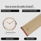 10 Pcs Stainless Steel Spring Bar Pins Links For Watch Band Strap Tools 16-24mm