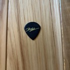 Ella Langely 2026 Dandelion Tour Black Guitar Pick