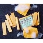 New Trader Joes 12 Pop-up Sponges Natural Compostable Sponge Free Shipping Great