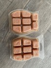 Scentsy Wax Bars Melts Lot Of 2 Clove   Cinnamon Scent Fall Winter Smells New