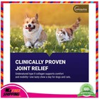 Vetoquinol Flexadin Advanced Joint Supplement For Dogs And Cats 30 Soft Chews