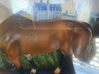 Breyer Model Horses Chablis Idocus Mold Prost Breyefest 2022 New In Box