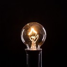 Box Of 25 G30 Clear 1 2    5w C7 E12 Base String Light Replacement Bulbs