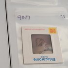1976 Tabby Cat Sitting In Chair At Dining Table Vintage 126 Slide