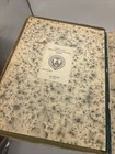 Rare 1925  Funk   Wagnalls New Standard Dictionary Of The English Language