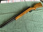 Beautiful Crosman 1400 Air Rifle 2nd Variant With Amazing Wood  Must See 