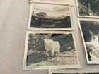 Vtg Souvenir Folder Of Glacier  Park Montana  Postcards 10 Views