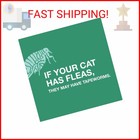 Elanco Tapeworm Dewormer  praziquantel Tablets  For Cats And Kittens 6 Weeks And