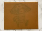 4 5  Pantograph Tile Mushrooms Plastic Engraving Plate 4288