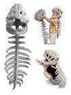 Spinosaurus Dinosaur Skeleton Costume Set - 3d Skull Headpiece   Spine For Dress