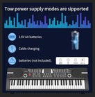 61 Keys Electronic Keyboard Piano Beginner Digital Music W  Microphone   Stand