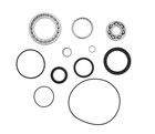 Yamaha Grizzly 600 Yfm600 Rear Differential Bearing And Seal Kit 1998 - 2001