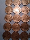      Rare Lot   25   1914-d Buffalo Nickels Acid Dates Key Dates
