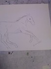 Original Running Horse Sketch 8 5x5 5 Minimalist Pencil Drawing Wachtel