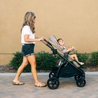  color  Mocha joie-ginger 7037