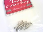 True Custom Shop   Nickel Bridge Mounting Screws For Fender Telecaster   More