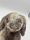 Jellycat Medium 12  Bashful Woodland Bunny Gray Brown Stuffed Animal Plush