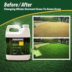 Turf Colorants - Premium Spray On Green Grass Paint For Lawns - Revives Dry  Pat