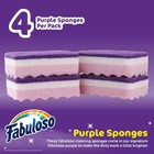 Fabuloso Scratch-free Kitchen Dish Sponges  4 Count  pack Of 1   Purple