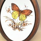 Vintage 1970 Ceramic Wall Plaque Butterfly   Floral Wood Hanging Wall Art Oval