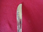  8  1881 Rogers Silverplate Gumbo Soup Spoons  1957 Lilac Time   19