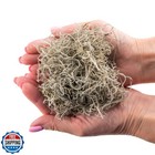 Gardenera Premium Natural Spanish Moss Natural Preserved - Great Ground Cover