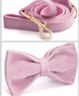 Trendy Paws Purple Velvet Dog Harness Leash Collar Bowtie Bag Gift Set New Xs