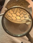 Antique Brass Branch Handle Magnifying Glass