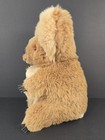 1970s Australian Koala Bear Plush 14  Real Fur Hard Body Vintage Souvenir