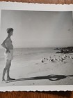 Rare Vintage Photo Photograph Sea Gulls Beach Scene Man Casting Shadow Abstract